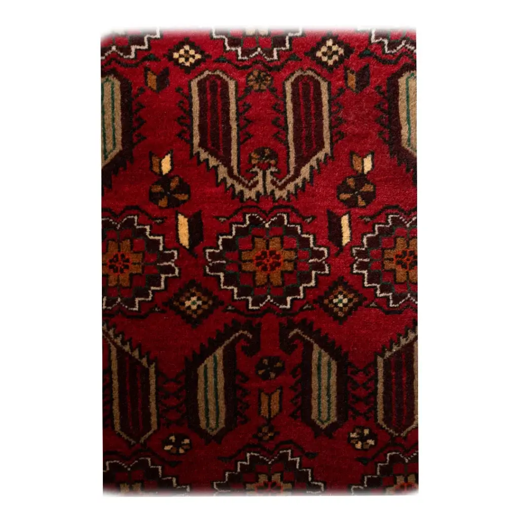 Boluch Wool Rug 3.2x6.3