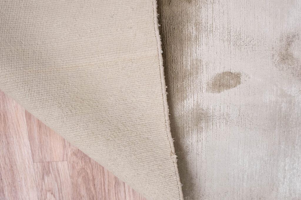 Tibet Rug 2.0x3.0 View 3