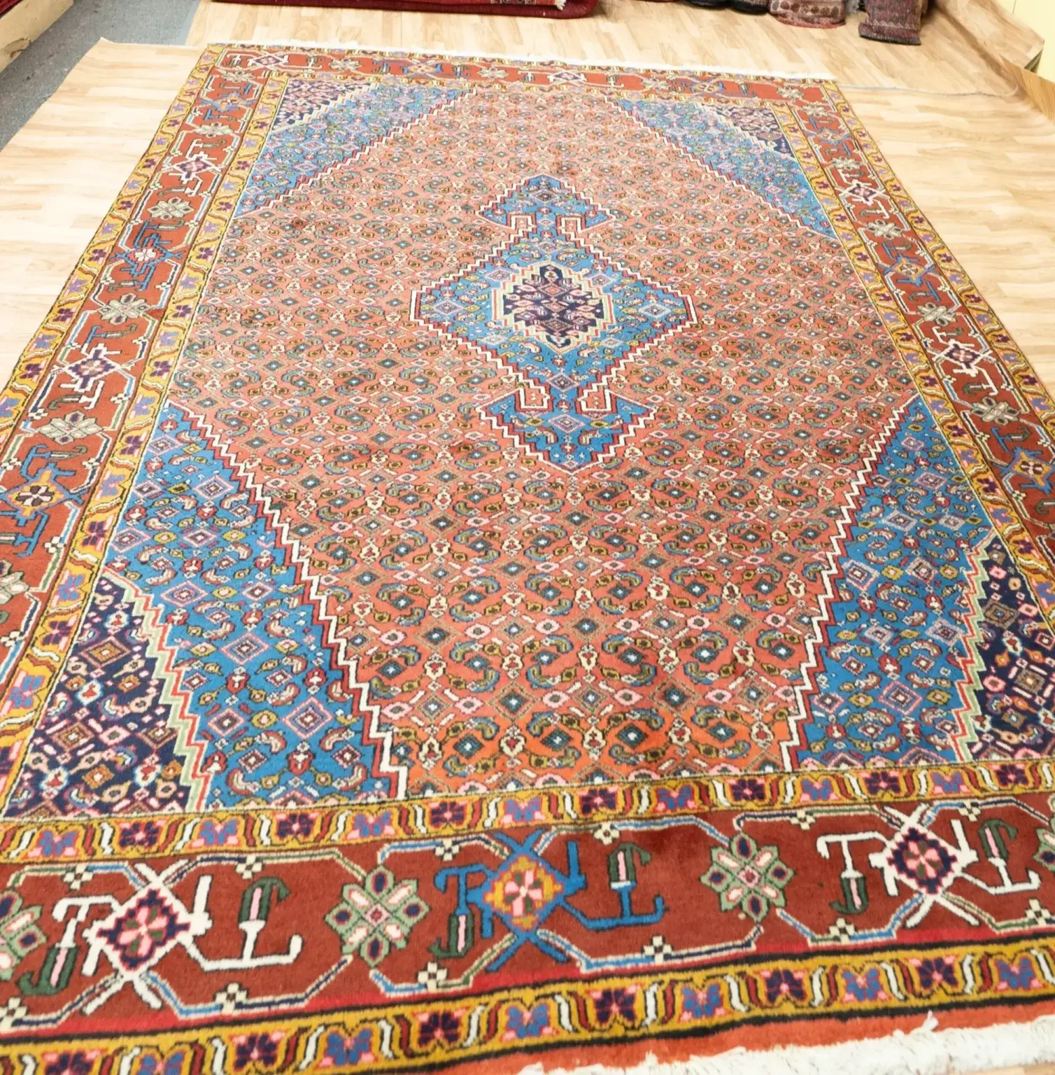 Ardabil Wool Rug 6.6x9.6 View 2